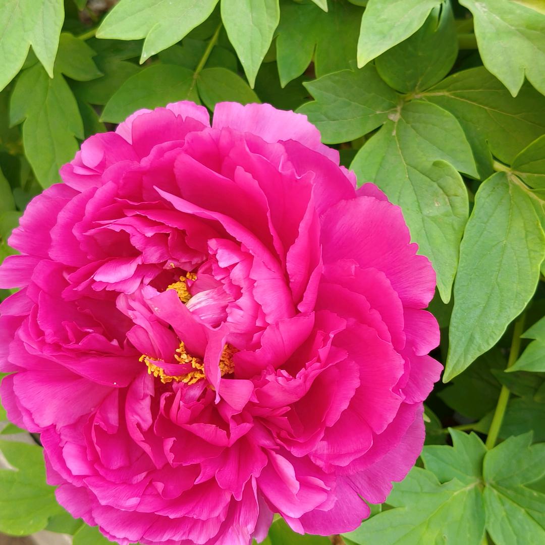 手机用户51755184078