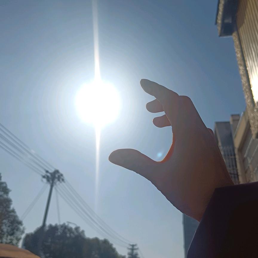 静静的守候