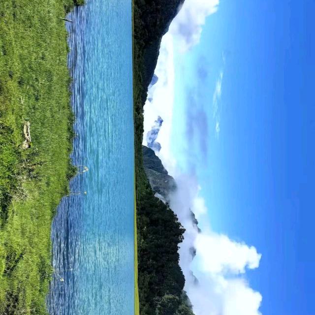 彼岸花风情@ZD~HDY