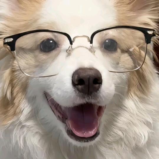 通知家鼠