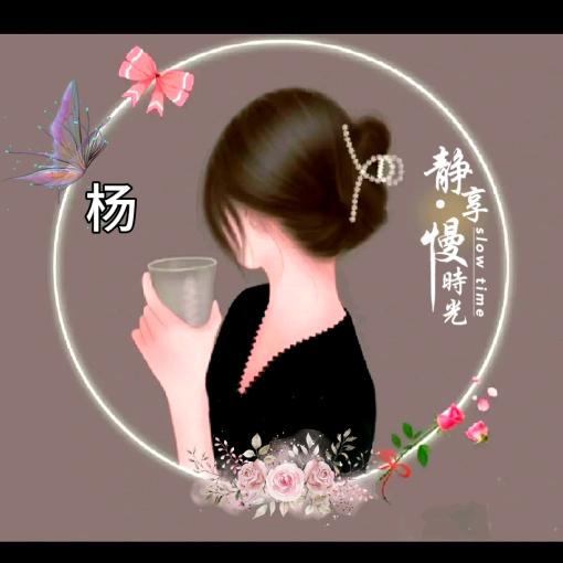 杨🌲苗
