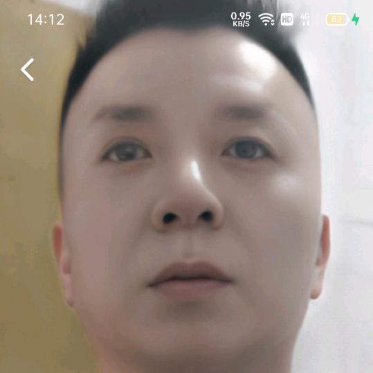 何大龙
