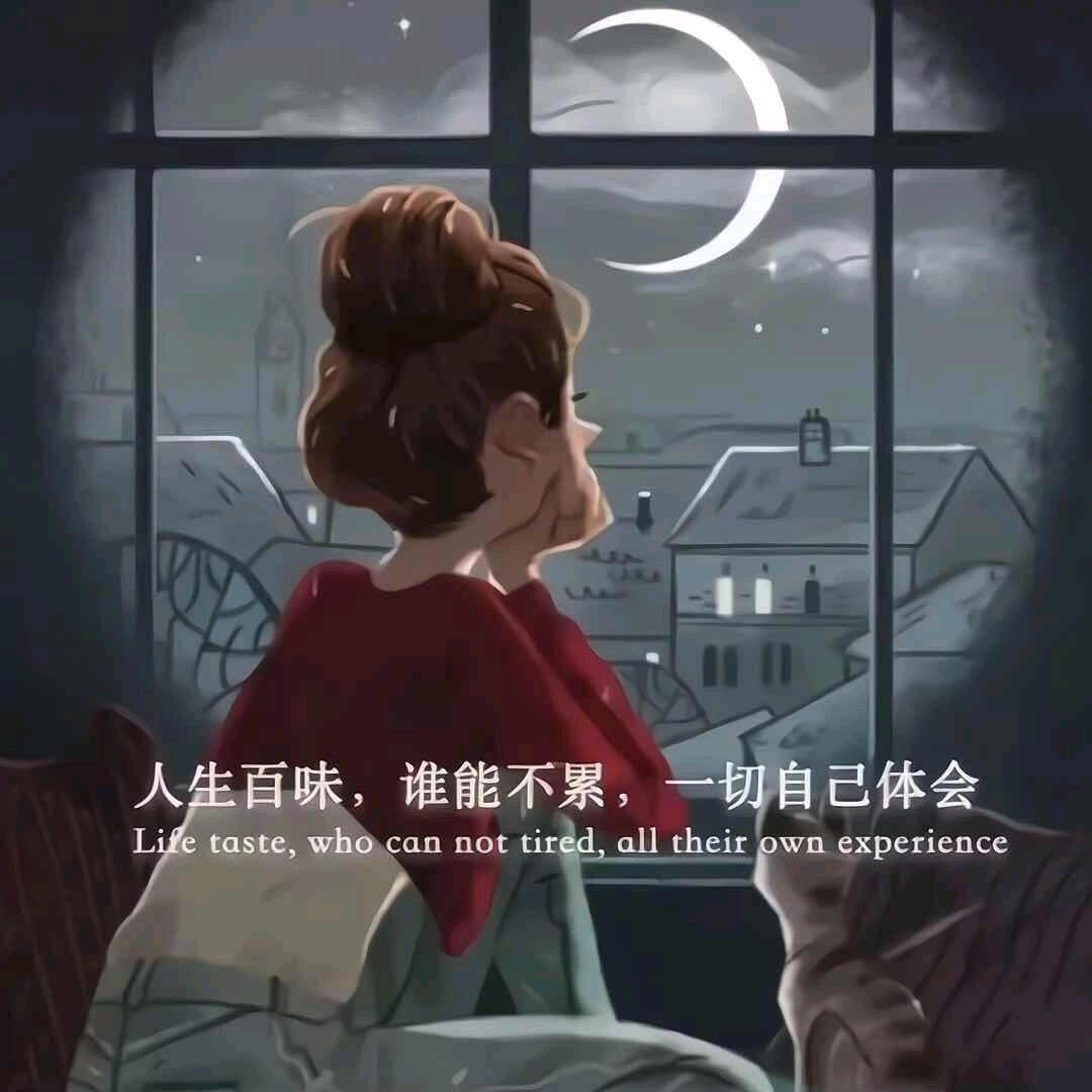 星星💞