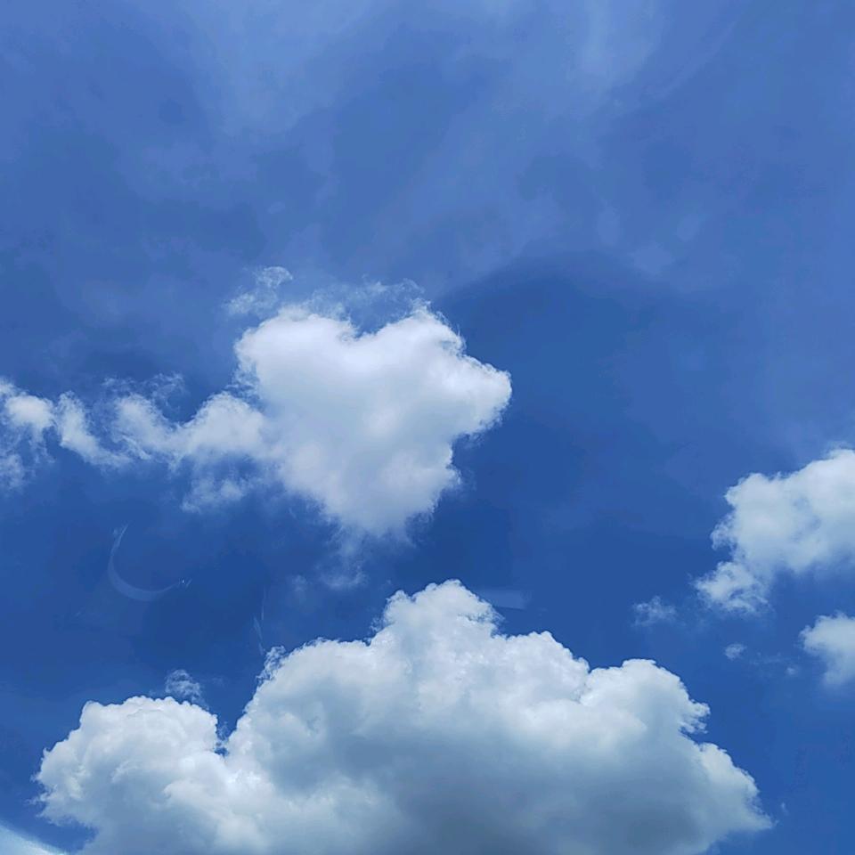 小鄂鱼🐟🐟