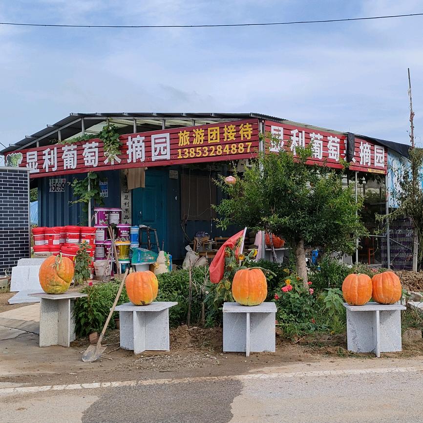 青岛泽山显利果品专业合作社