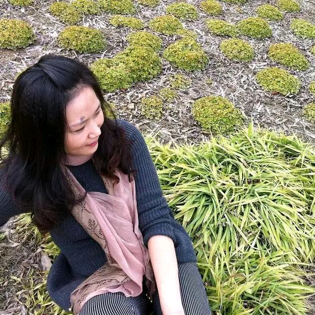 心不再飞