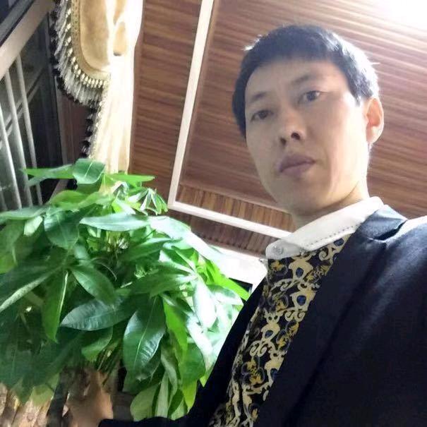 高照