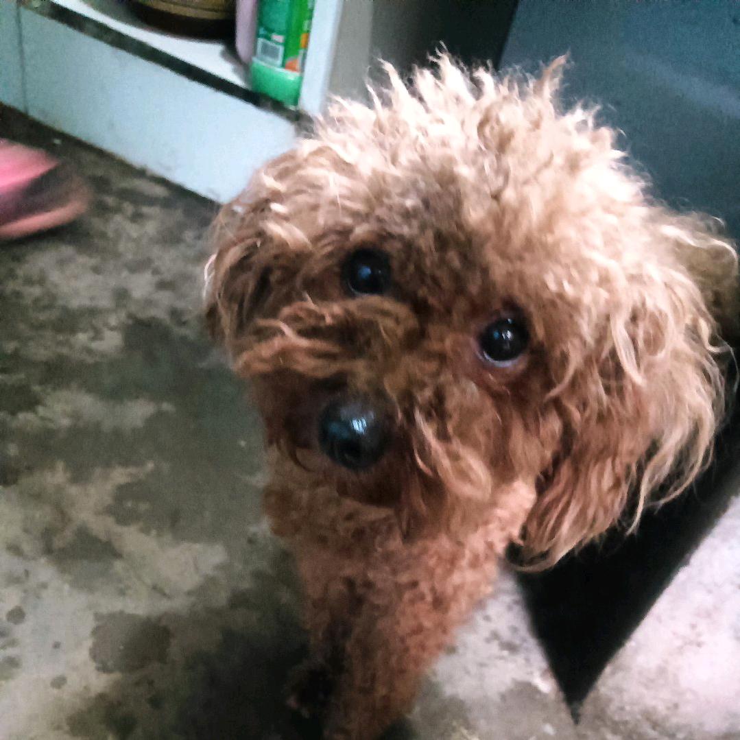 俊哥是做主播每天健身臂力棒