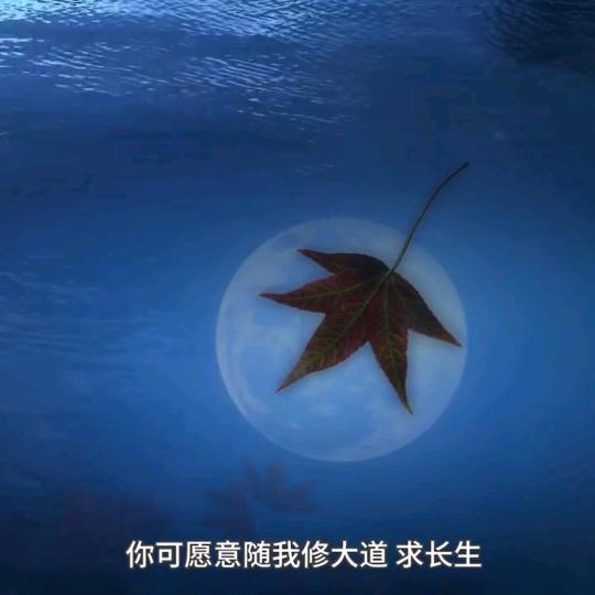 天涯路远