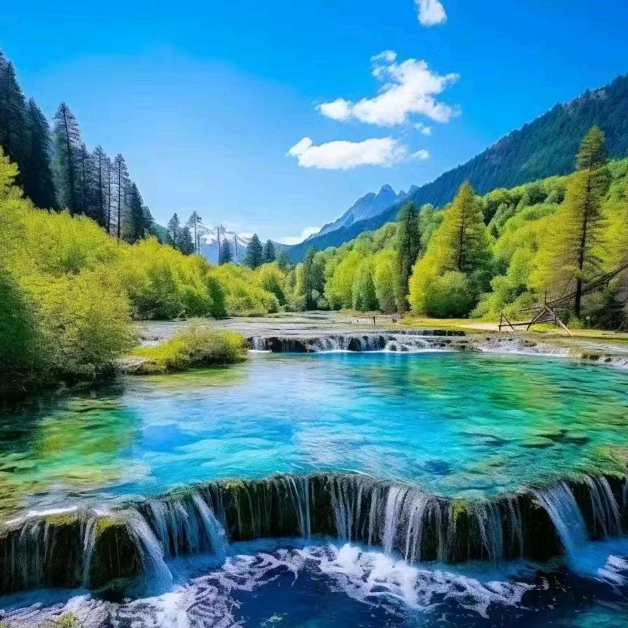 👀🌞向阳花开🌺