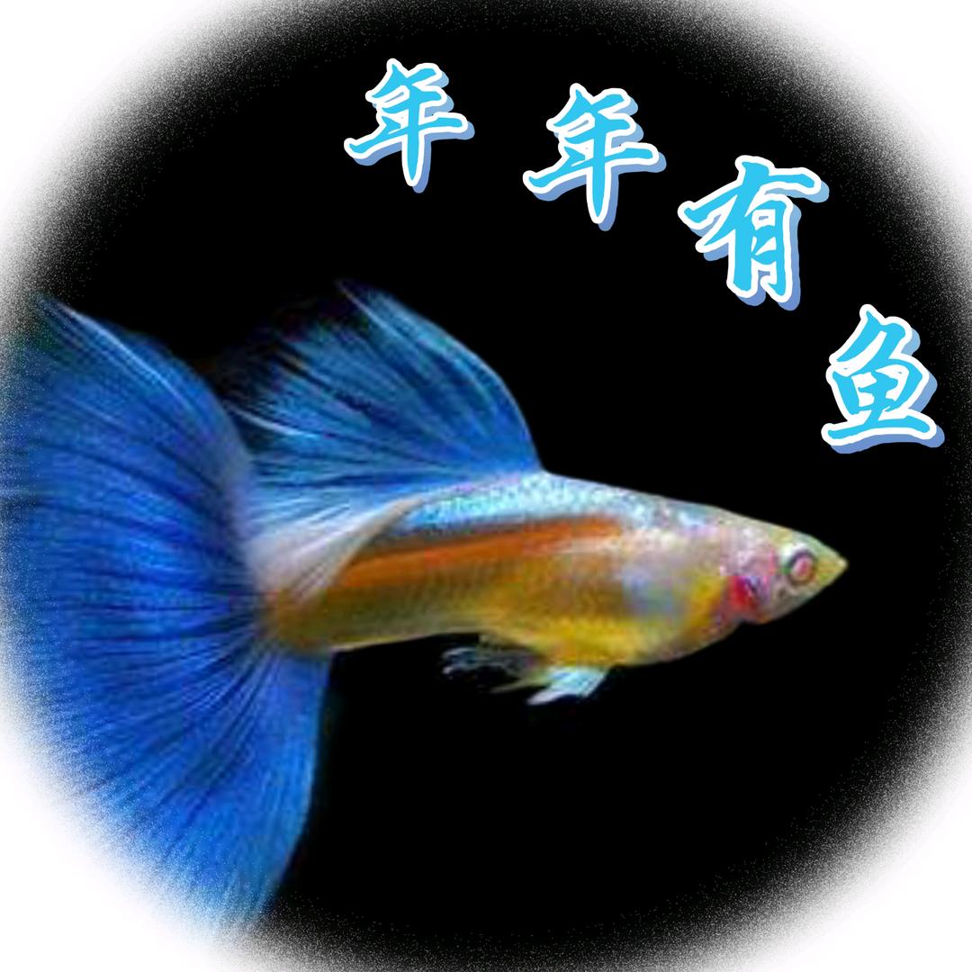 小猴鱼乐园