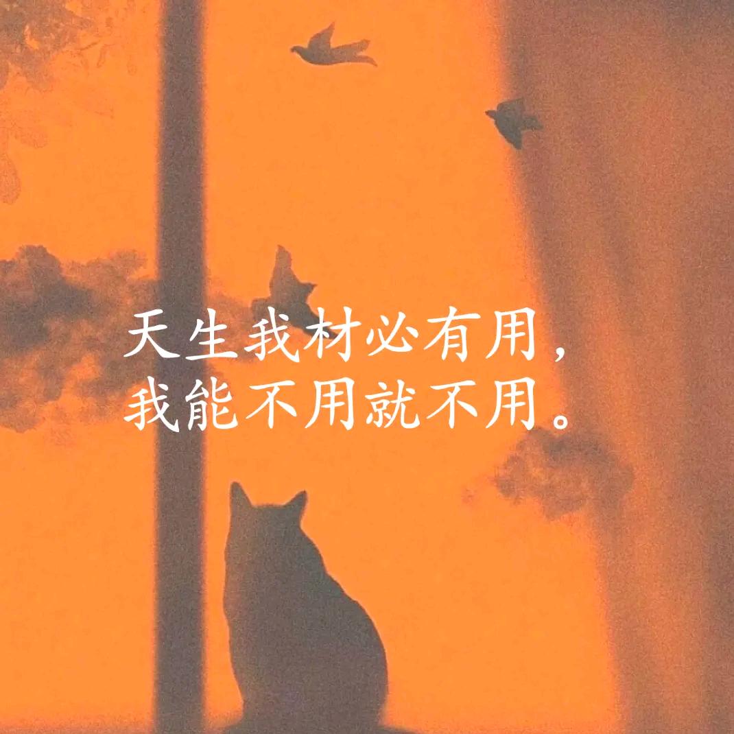 精神状态良好
