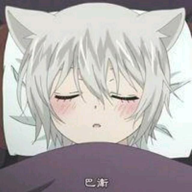 按时睡觉