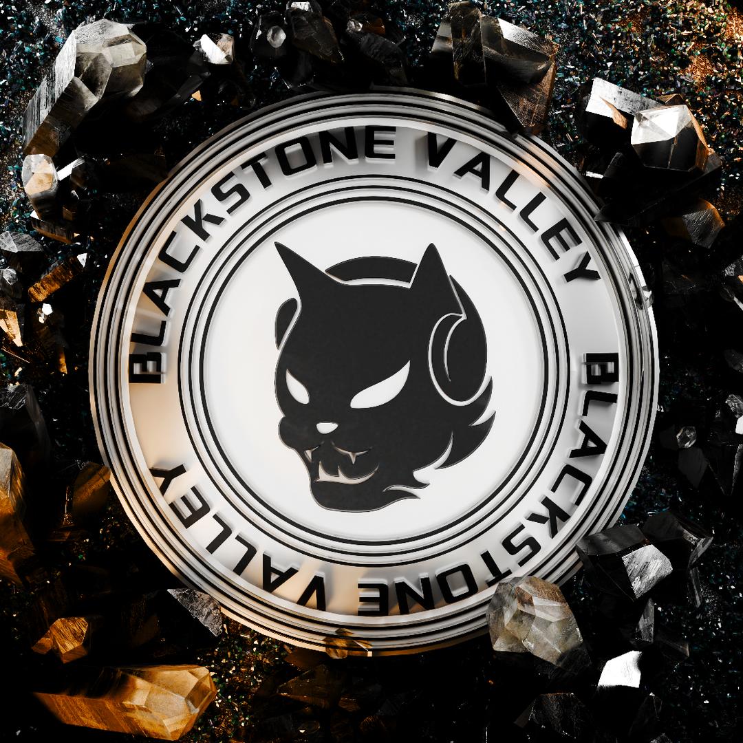 黑石谷BSV-official