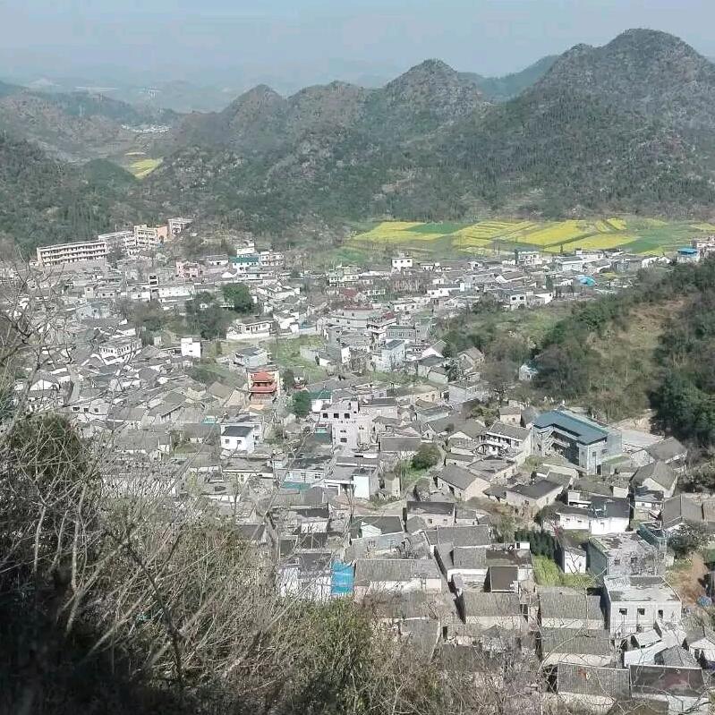 沈雪梅