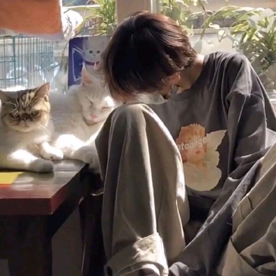 悲伤大榴莲