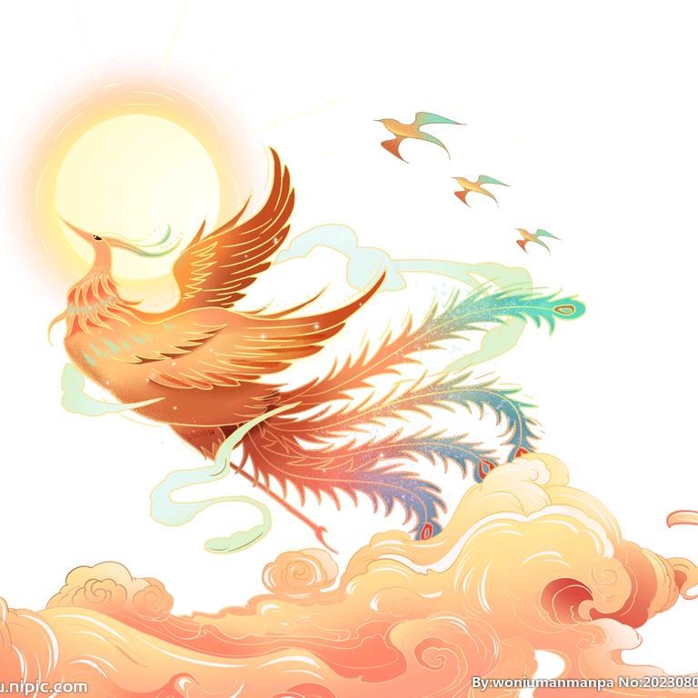 育星道场