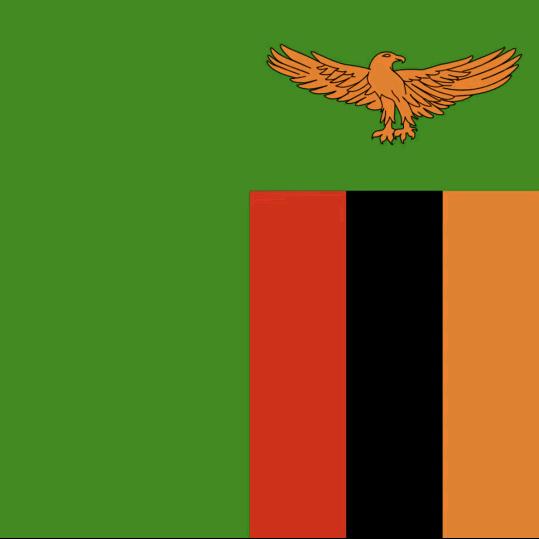 赞比亚国际珠宝