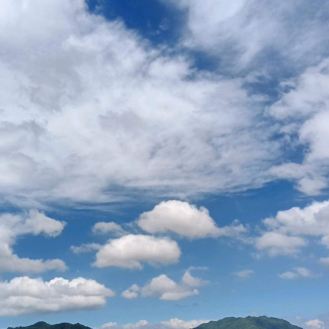 如鱼得水