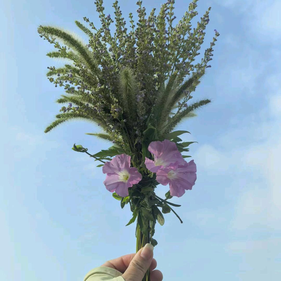 贺贺有名