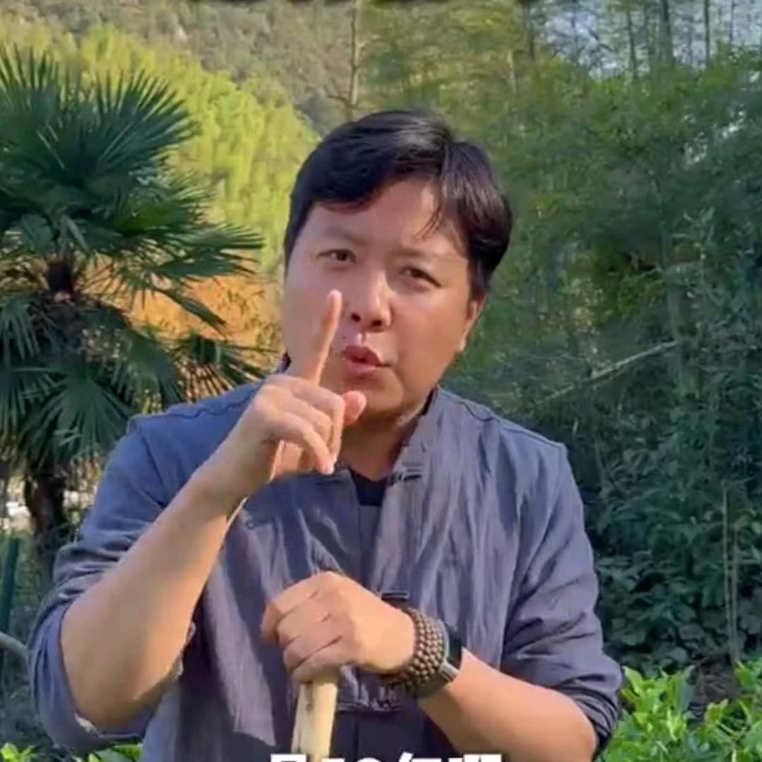 罗汉唐掌门