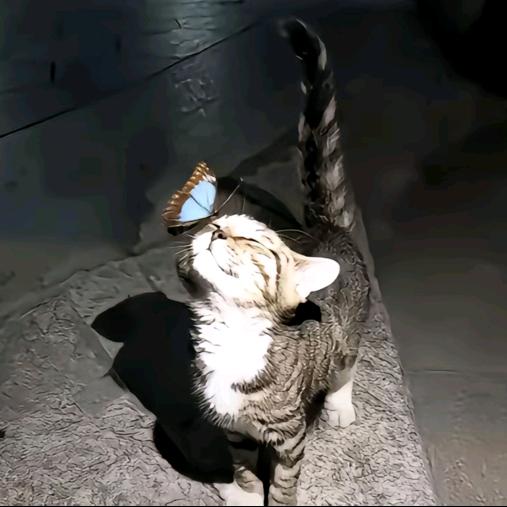 努力早睡
