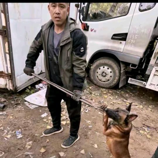 AAA.专业套狗隗师傅