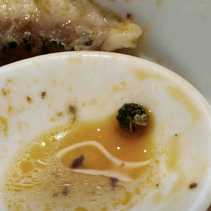 真心被吃了