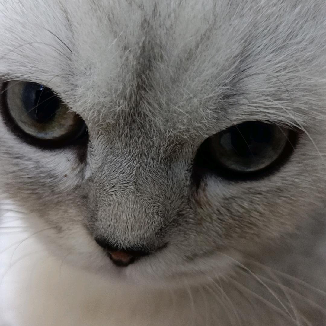 ~One ζove '朴
