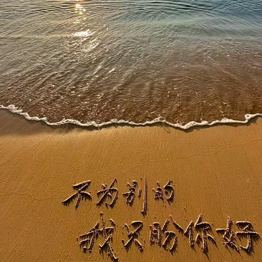 落叶