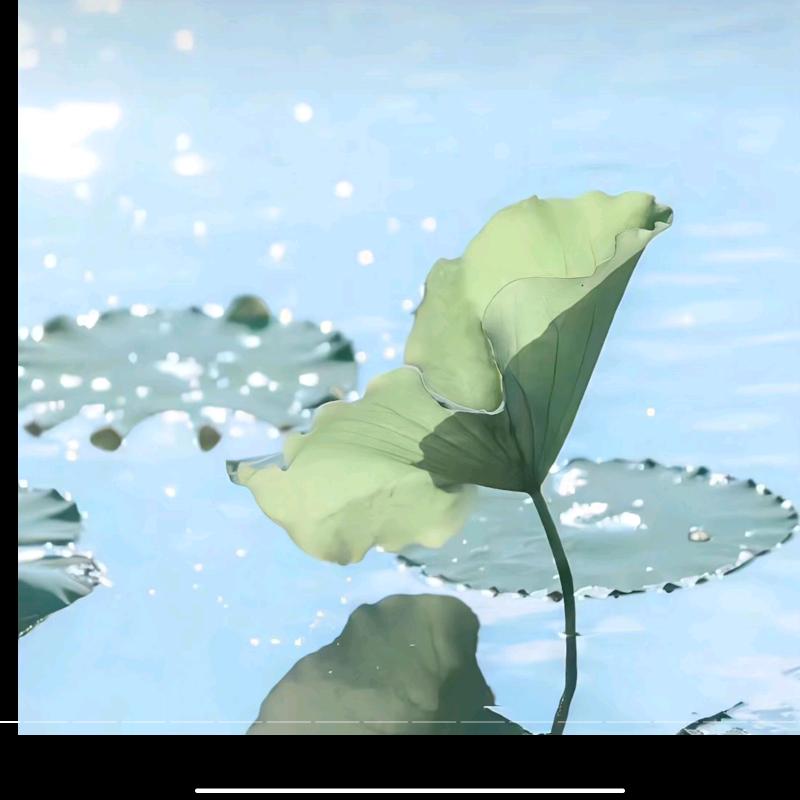 涛涛哥