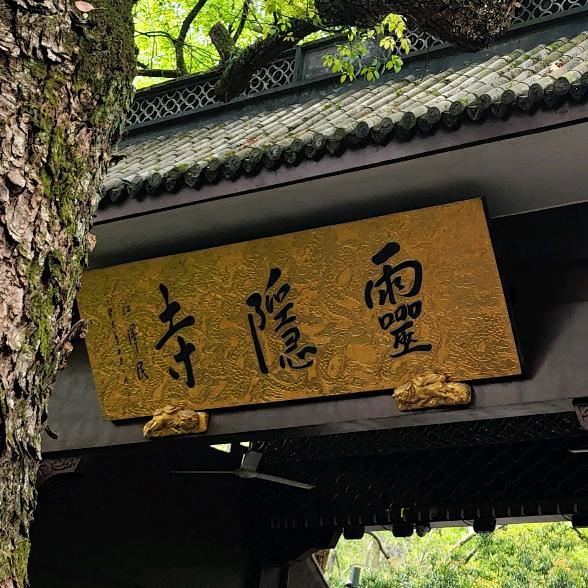 龙鸶