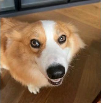 搜藏控西洋vintage