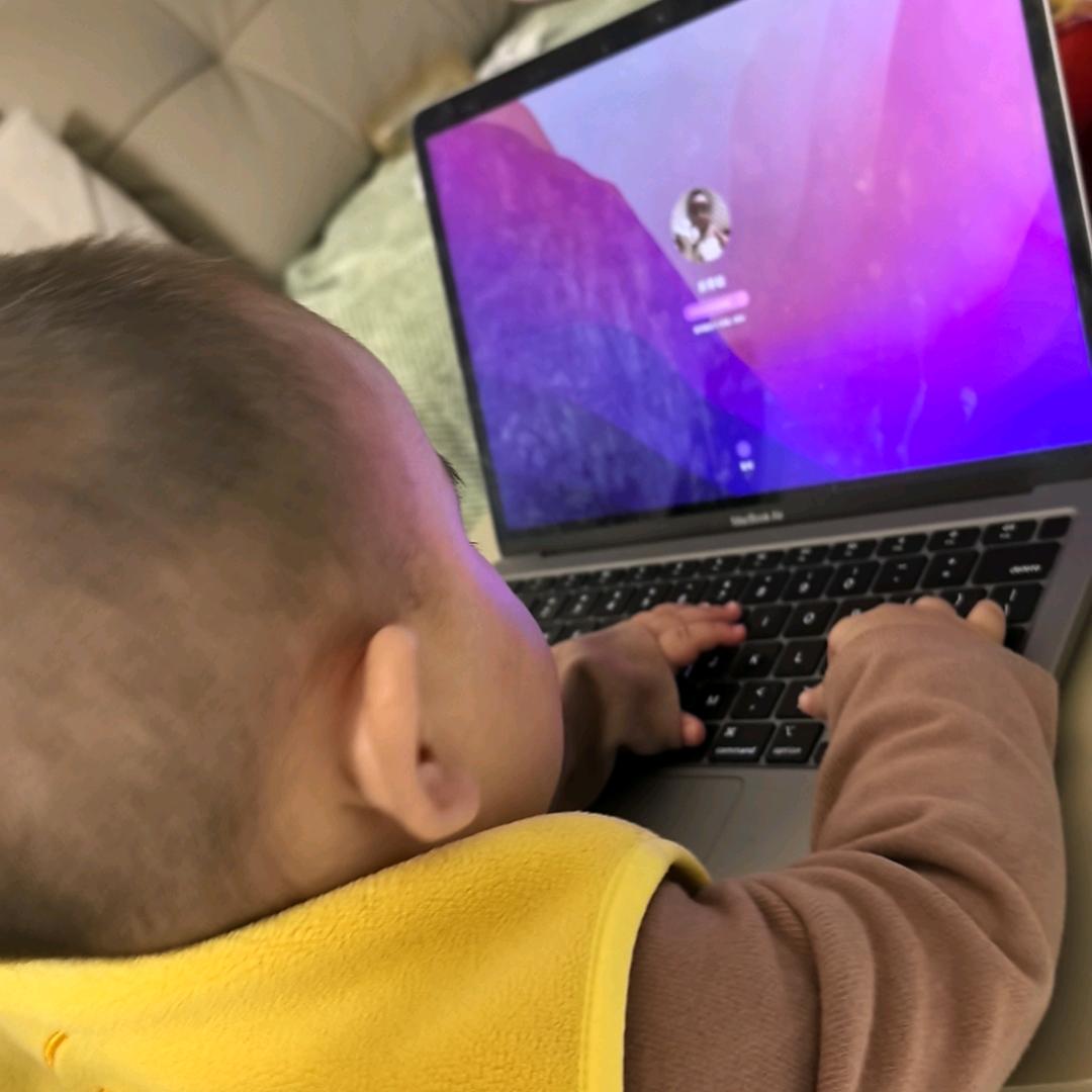 猫猫的事情你少管