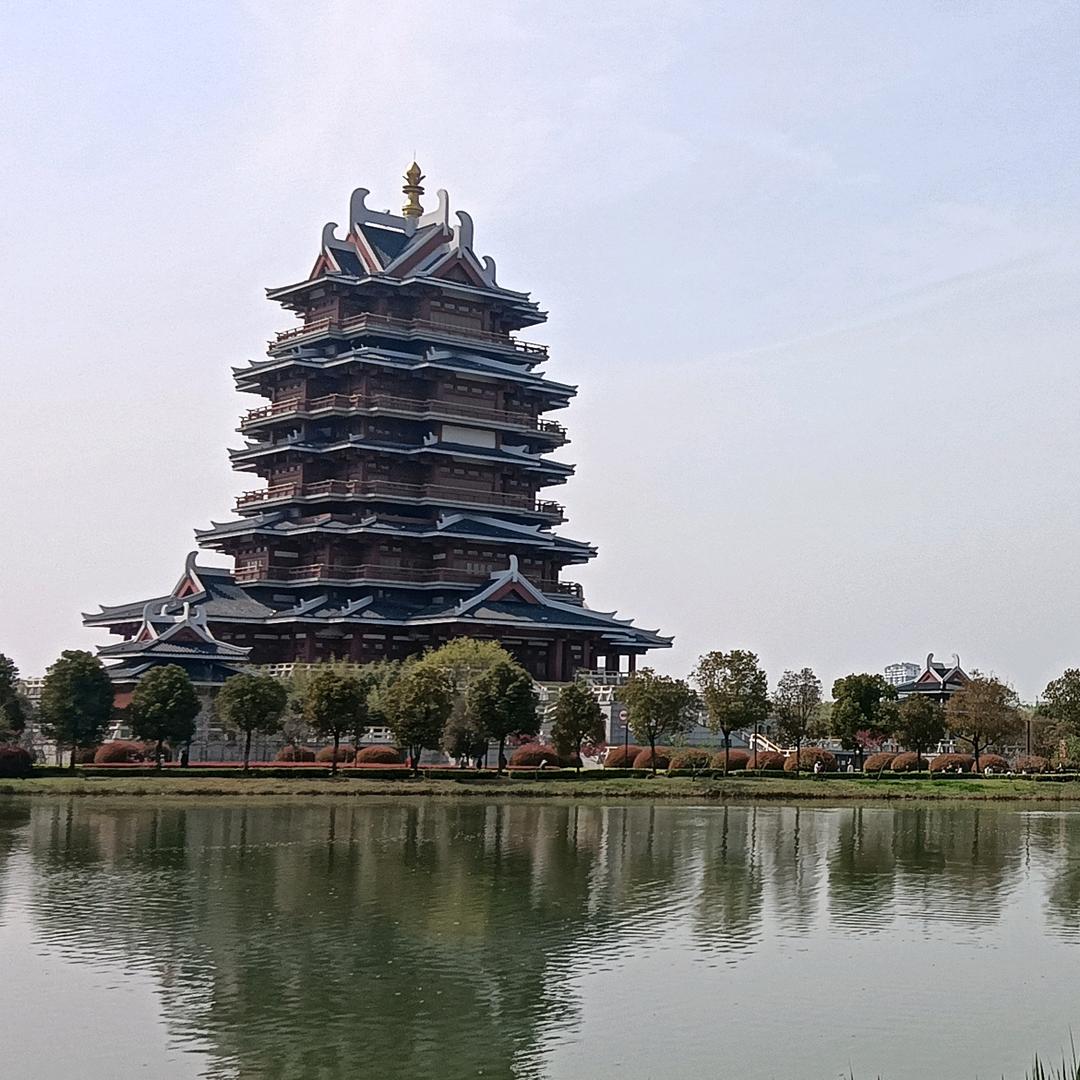 龙龙龙龙