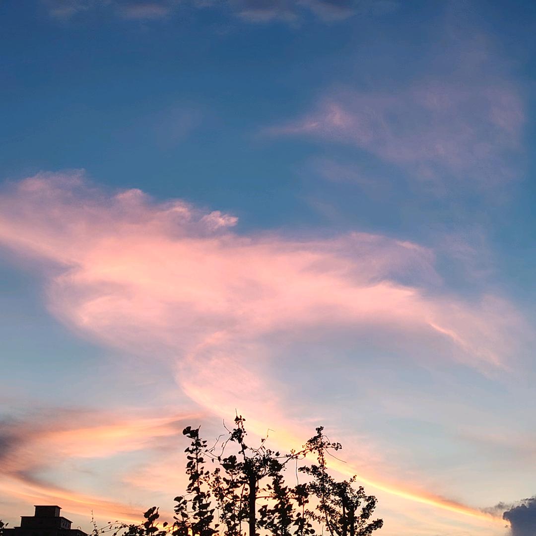 鑫鑫相希