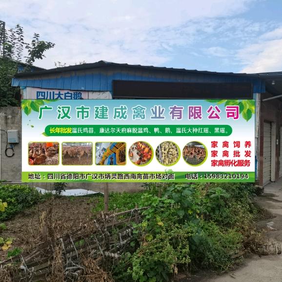 建成禽业