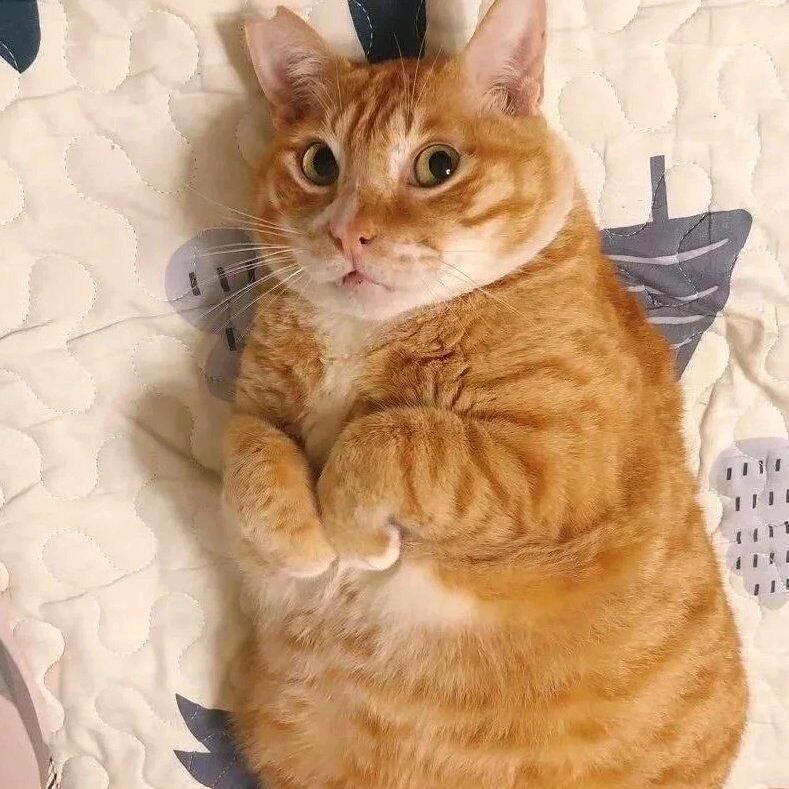 烛台
