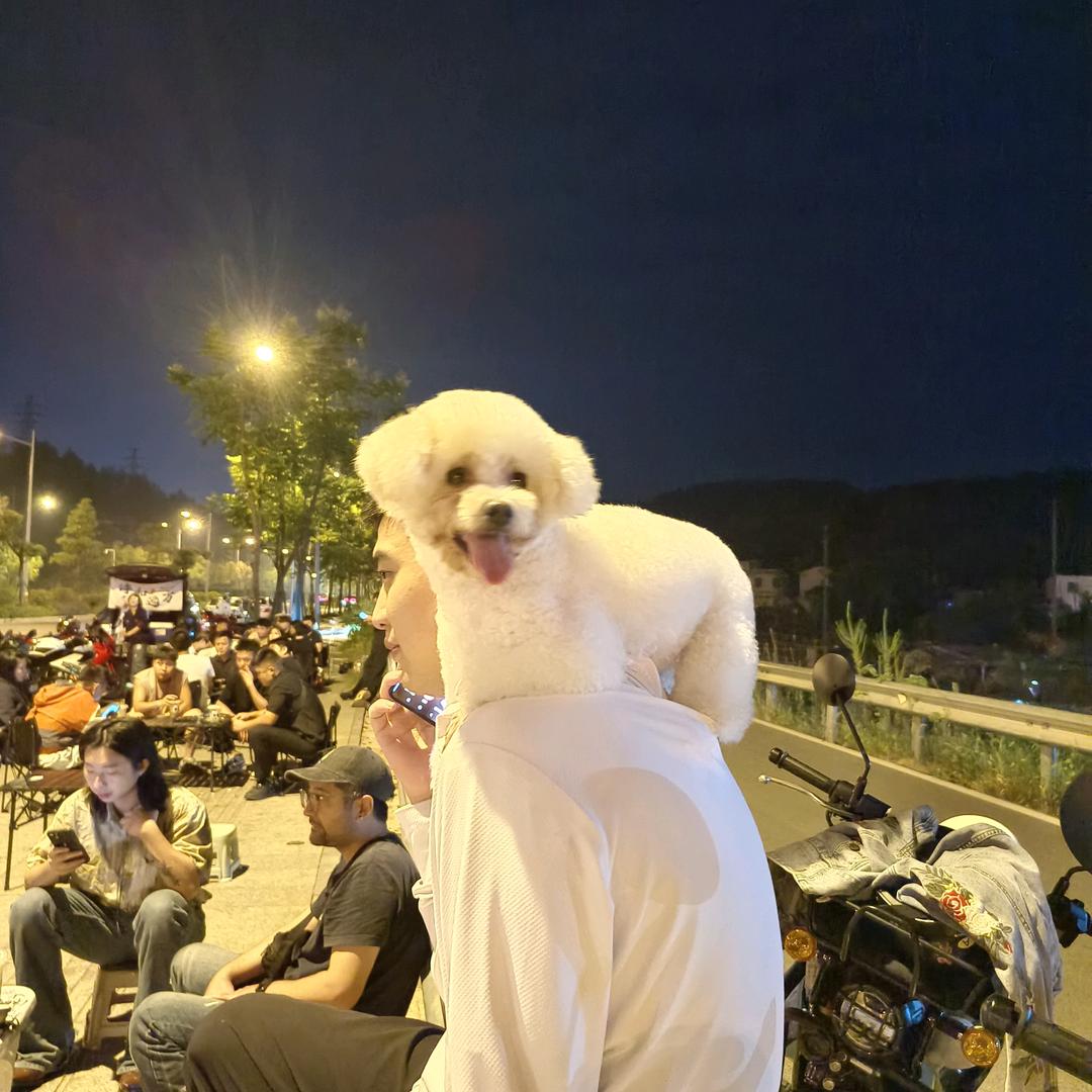 AAA小王