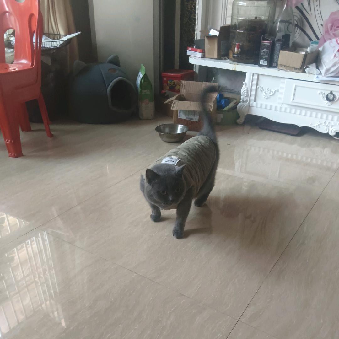 许志杰