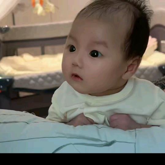 专业介绍对象  黄芪当归党参甘草 联系我