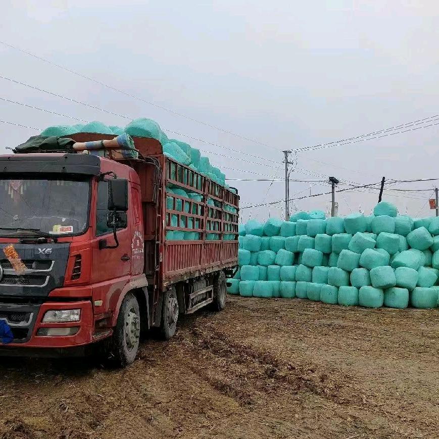 小庞     梦阳农场草业