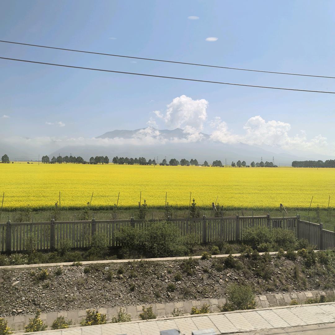 勇闯天涯