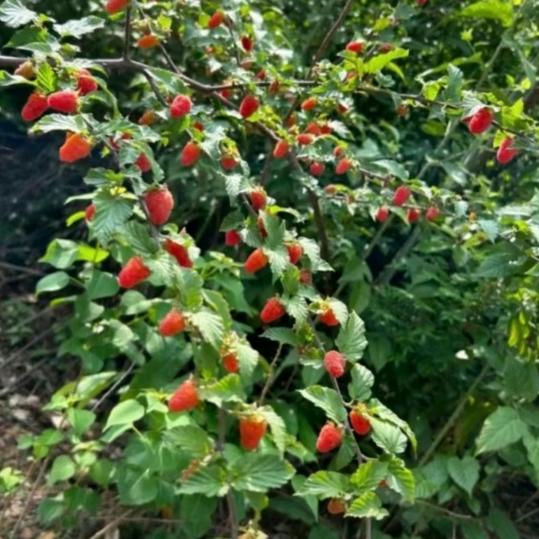 🏖໑ຼₒ₂₄阳光明媚