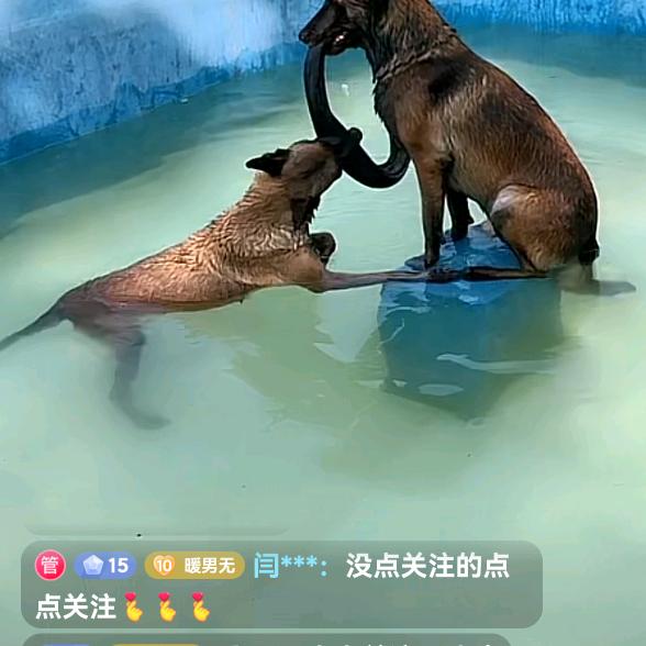 嗯ヽ(○^㉨^)ﾉ♪