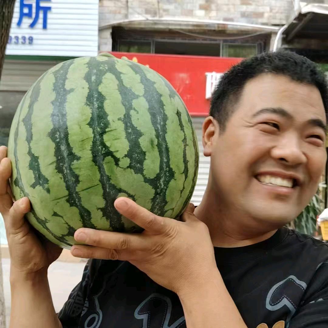 胡鸡哥农副产品，小香猪，藏香猪