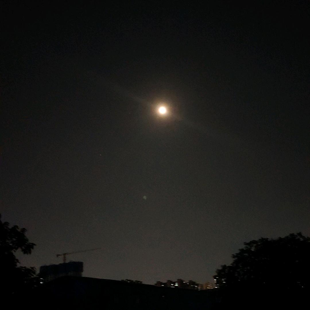 7929飞飞