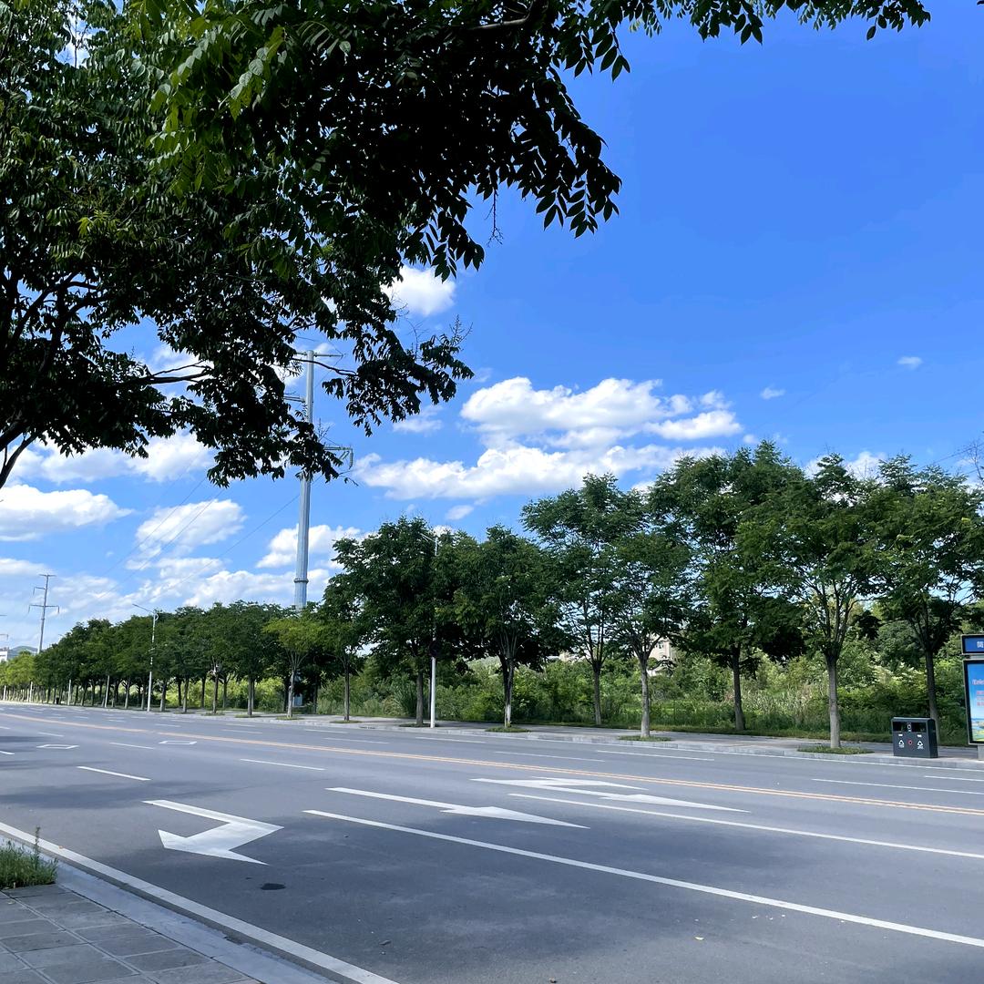 一人，一城，一世界