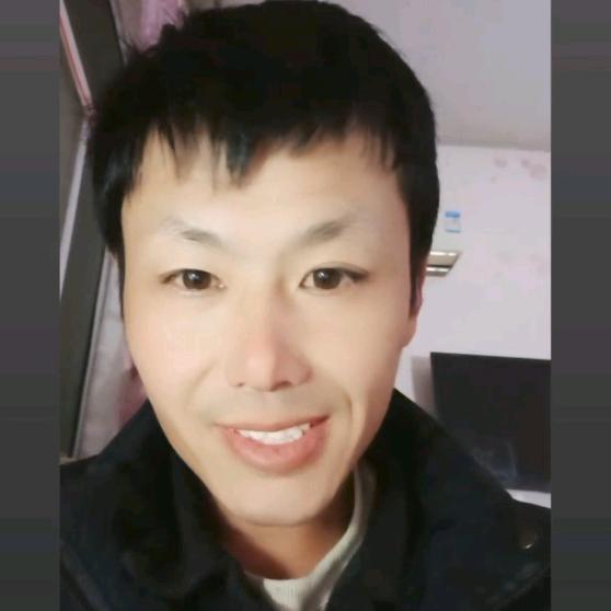 MS龙