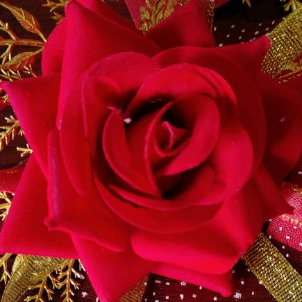 有你快乐💃🏻